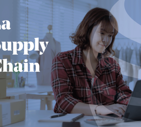 Article - Supply Chain 