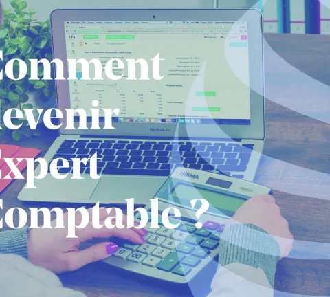 Article - Compétences pour devenir un expert comptable