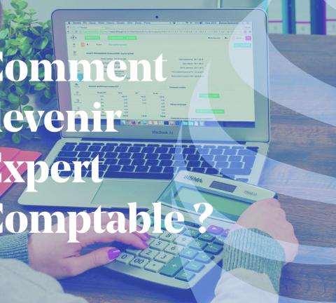 Article - Compétences pour devenir un expert comptable