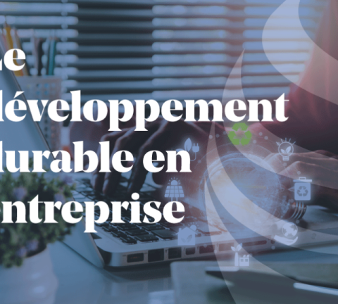 Article_Dévellopement-durable-en-entreprise