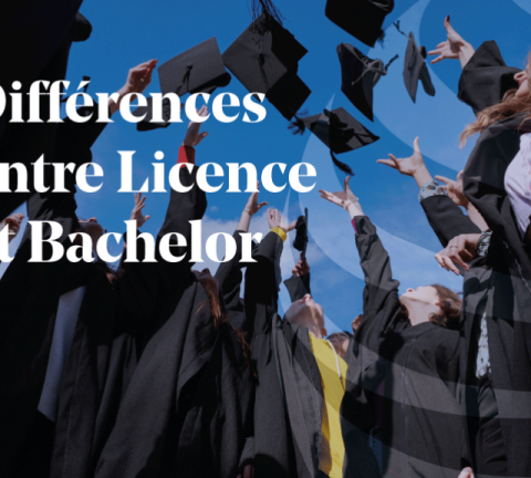 Article Différences bachelor et licence