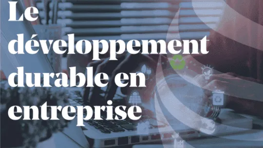 Article_Dévellopement-durable-en-entreprise
