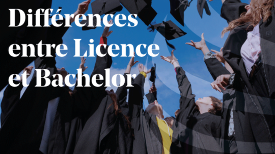 Article Différences bachelor et licence