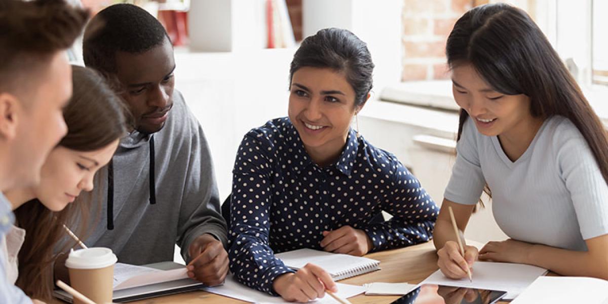 programme-bachelor-management-english-track