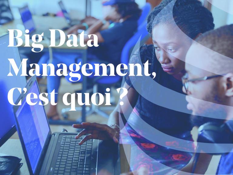 Article - Big data management definition et classification