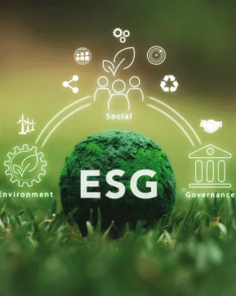 ARTICLE_Les-obligations-vertes-pour-financer-la-transition-ecologique